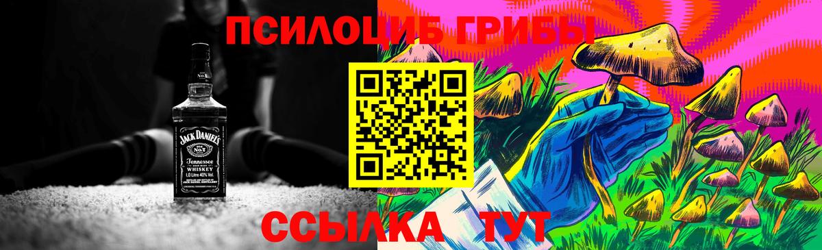 Галлюциногенные грибы прущие грибы Фурманов