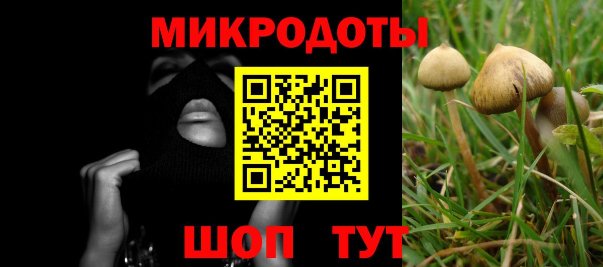 Псилоцибиновые грибы GOLDEN TEACHER  Вход с VPN  Фурманов 